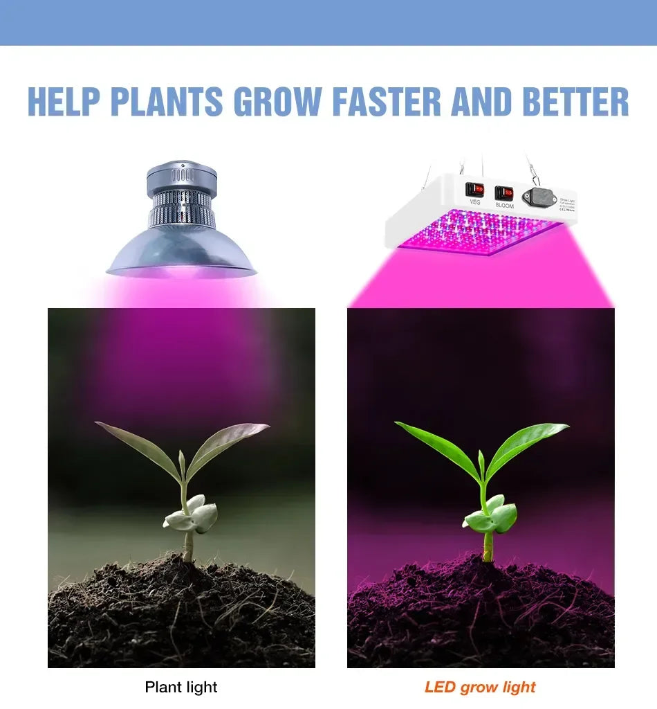 Newest 4000/5000W Full Spectrum LED Growing Light IP65 Plant Bulbs Hydroponic Lamp Greenhouse Lamps Flower Growth Lighting Box