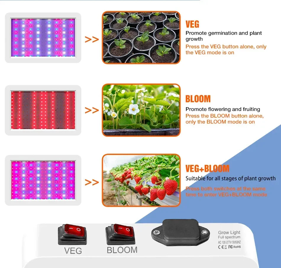 Newest 4000/5000W Full Spectrum LED Growing Light IP65 Plant Bulbs Hydroponic Lamp Greenhouse Lamps Flower Growth Lighting Box