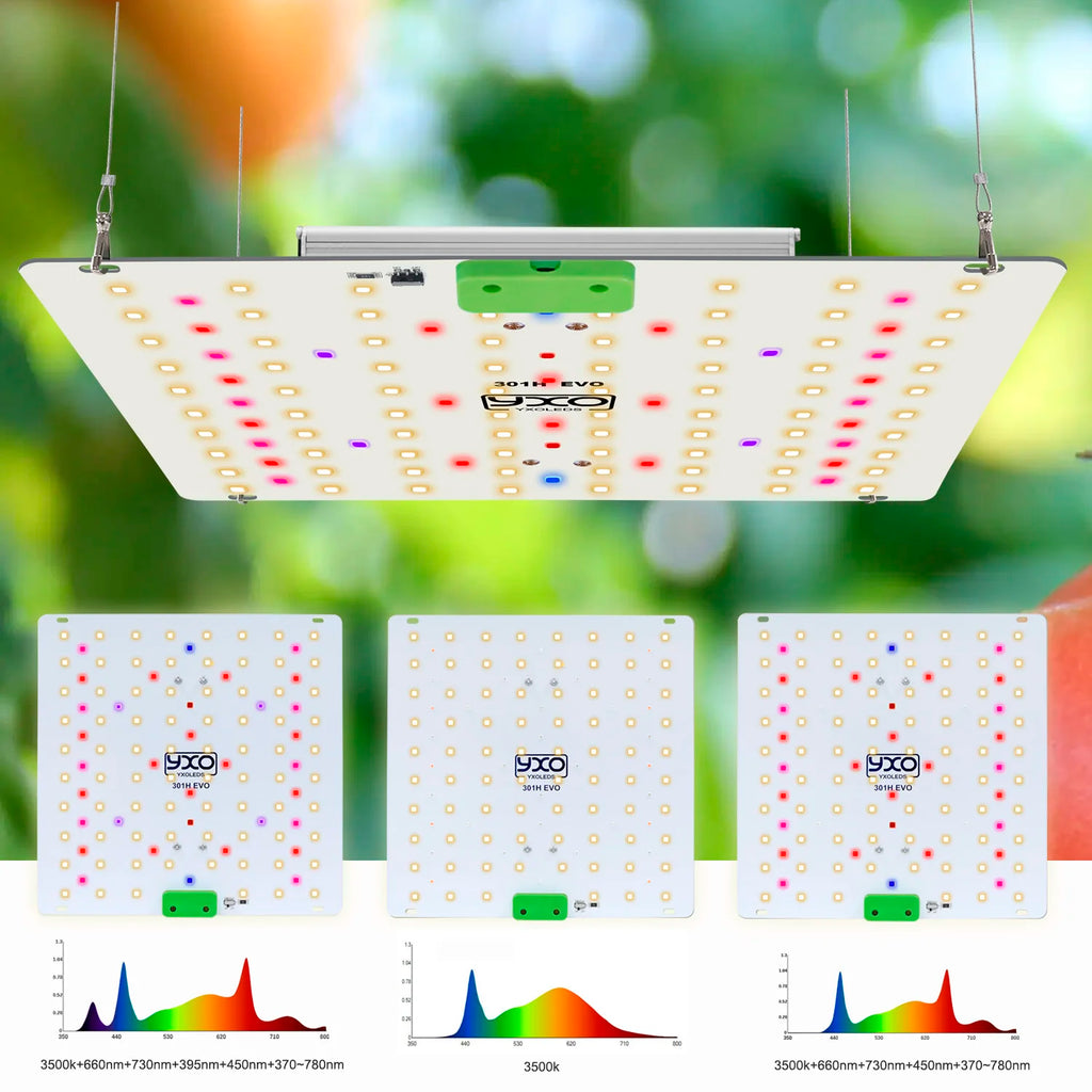 Super Bright Sam-ung Quantum Dot LM301H EVO Dimmable 85W 180W LED Plant Growth Light for Indoor Gardening And Agriculture