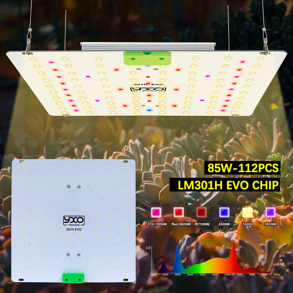 Super Bright Sam-ung Quantum Dot LM301H EVO Dimmable 85W 180W LED Plant Growth Light for Indoor Gardening And Agriculture