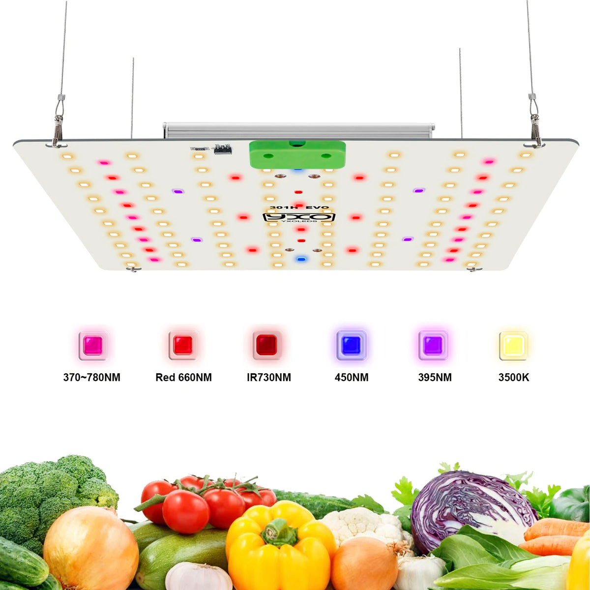 Super Bright Sam-ung Quantum Dot LM301H EVO Dimmable 85W 180W LED Plant Growth Light for Indoor Gardening And Agriculture