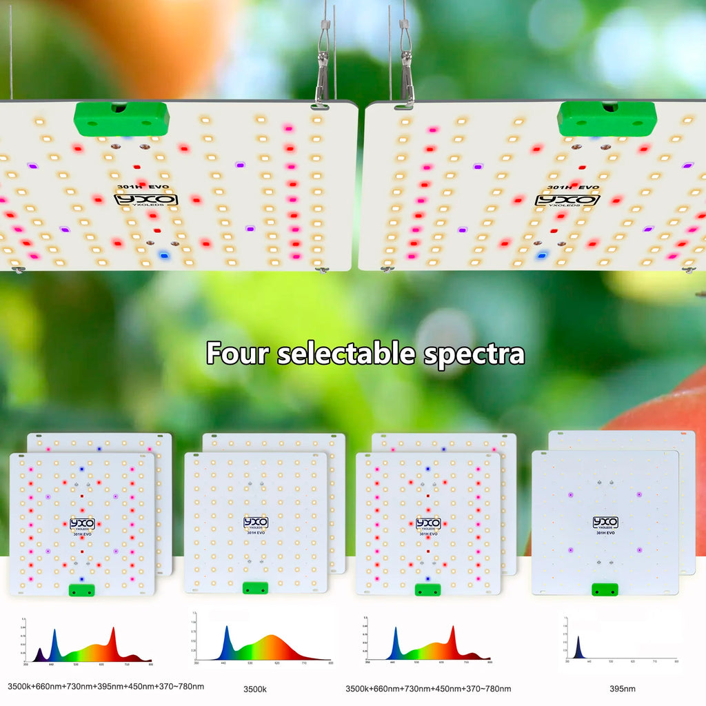 Super Bright Sam-ung Quantum Dot LM301H EVO Dimmable 85W 180W LED Plant Growth Light for Indoor Gardening And Agriculture