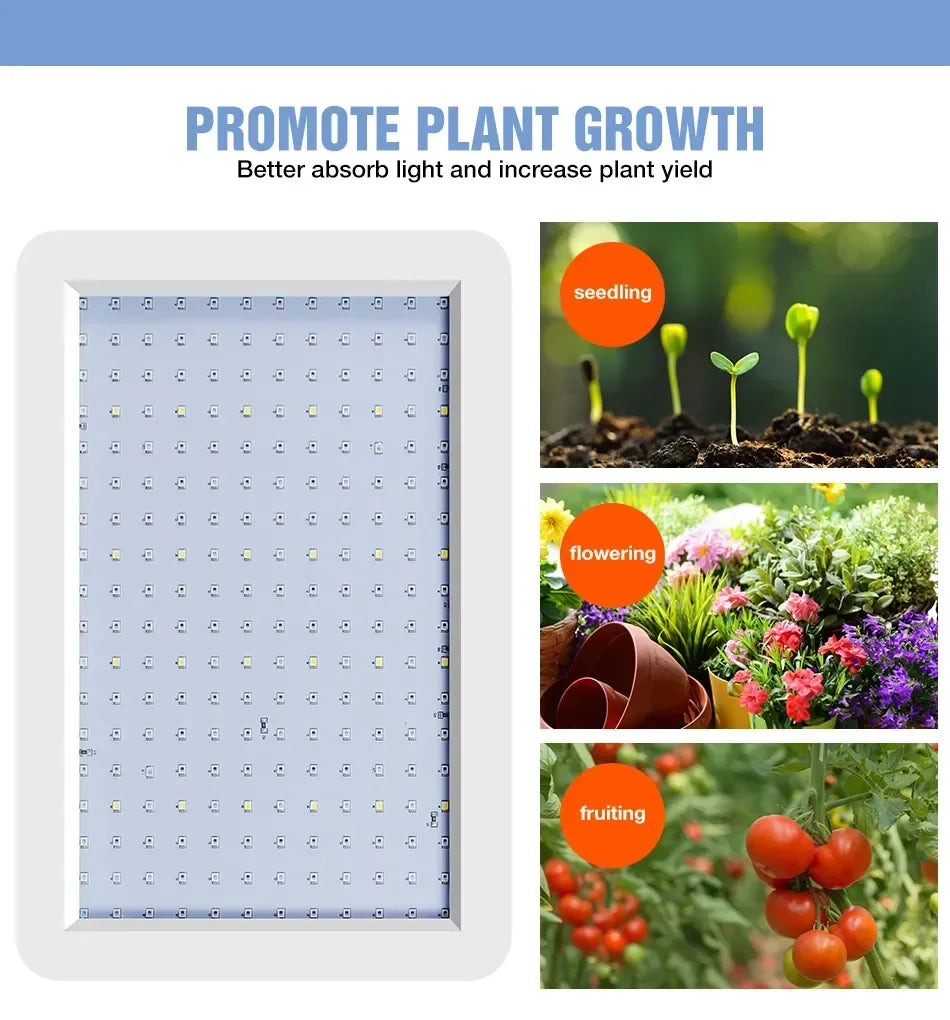 Newest 4000/5000W Full Spectrum LED Growing Light IP65 Plant Bulbs Hydroponic Lamp Greenhouse Lamps Flower Growth Lighting Box