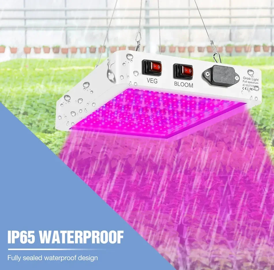 Newest 4000/5000W Full Spectrum LED Growing Light IP65 Plant Bulbs Hydroponic Lamp Greenhouse Lamps Flower Growth Lighting Box